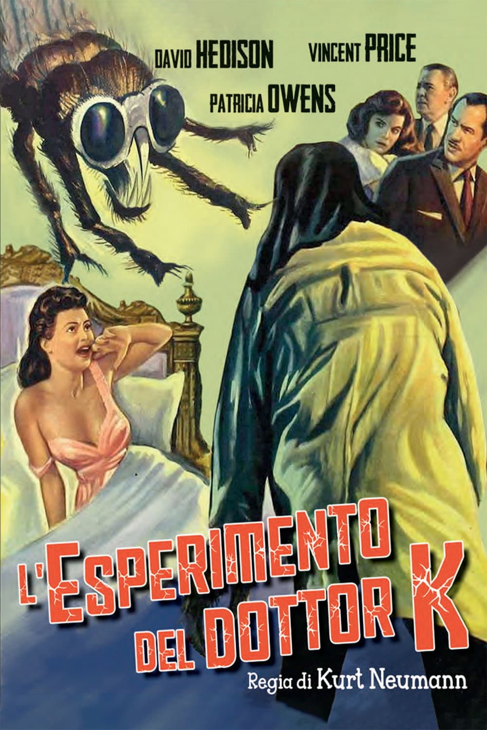 Poster di L'esperimento del dottor K.