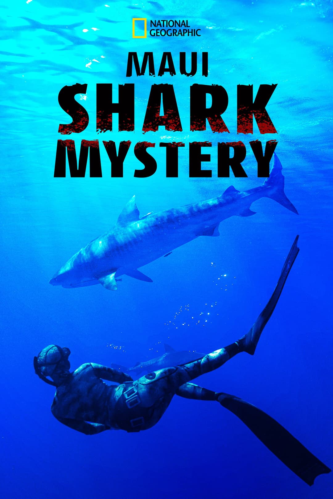Poster di Maui Shark Mystery