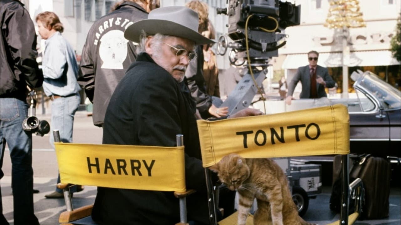 Harry e Tonto - immagine