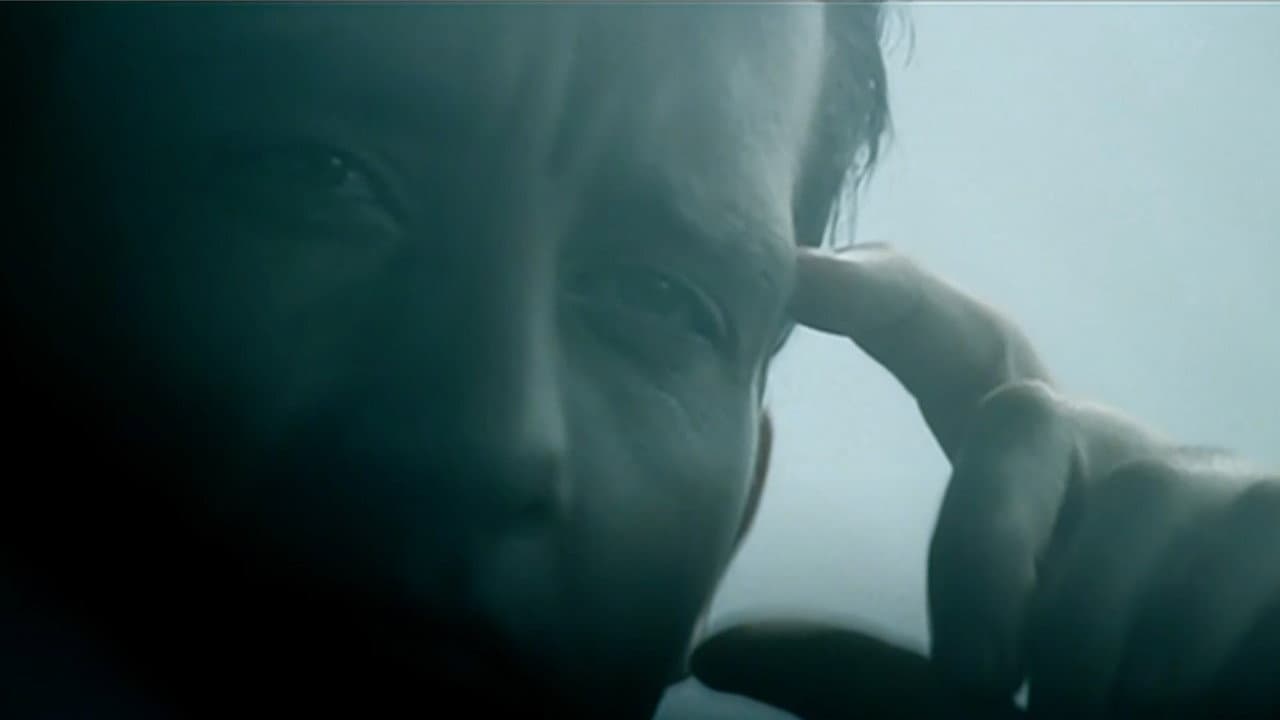 The Follow - immagine