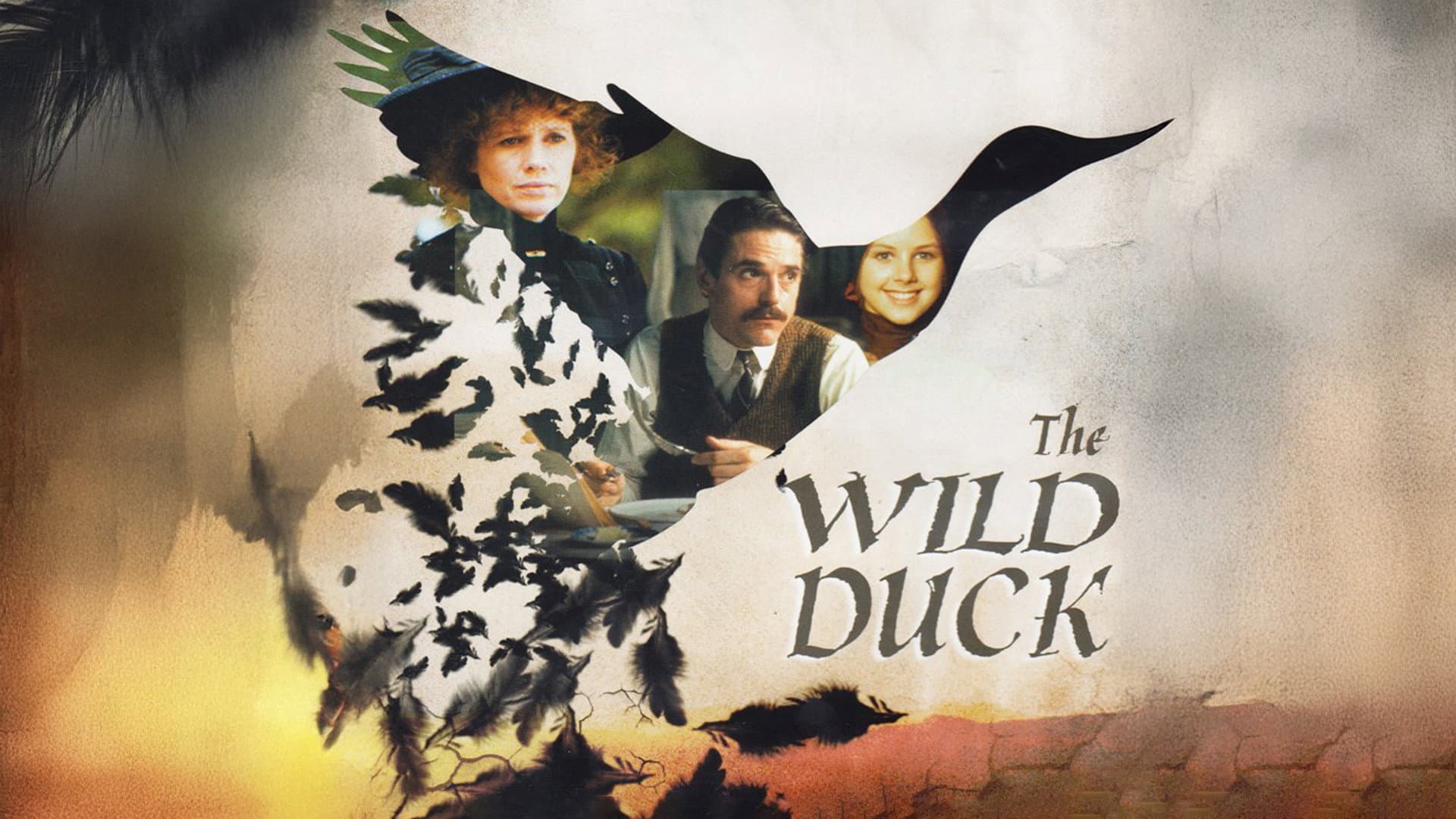 The Wild Duck - L'anatra selvatica - immagine