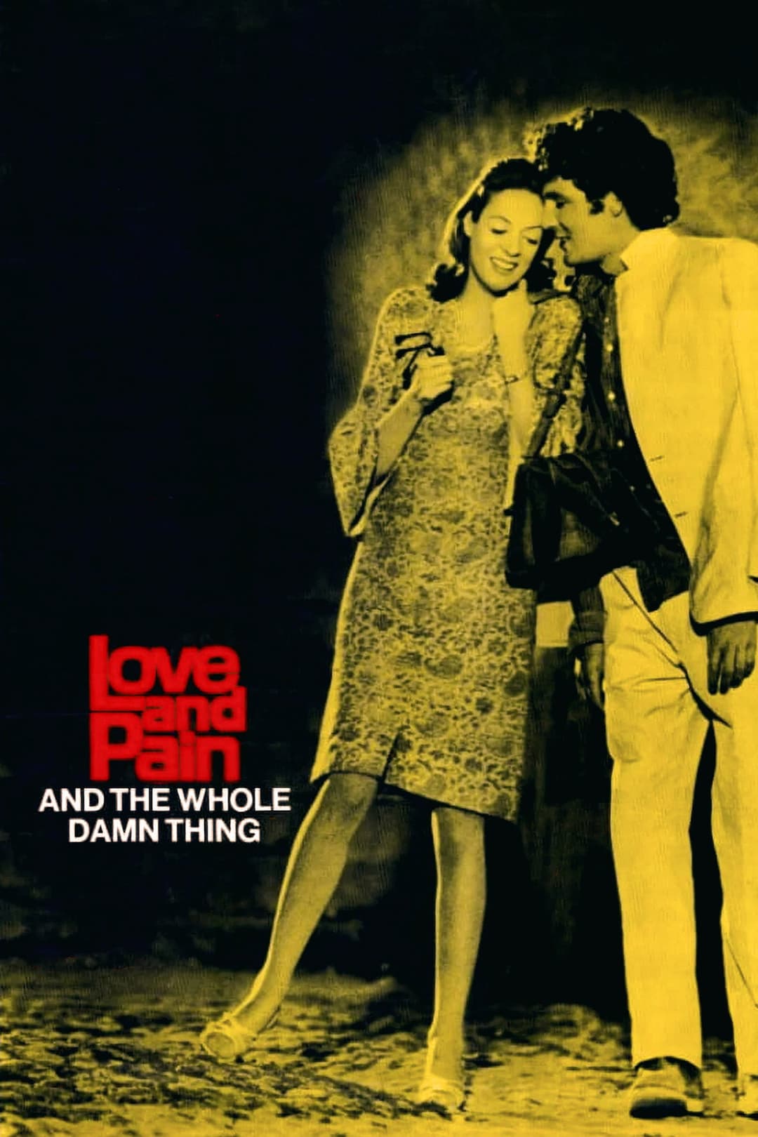 Poster di Amore, dolore e allegria