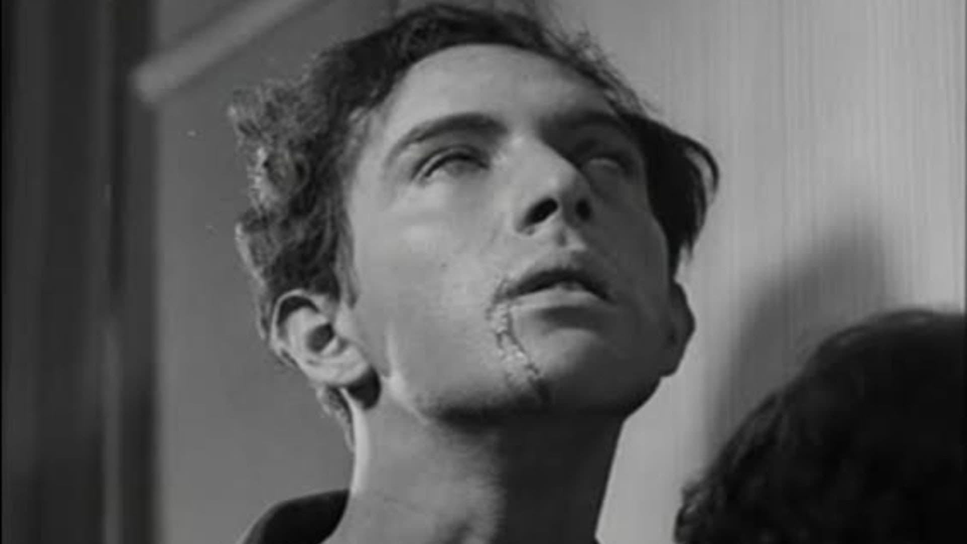 Un chien andalou - immagine
