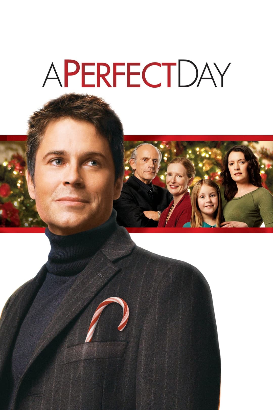 Poster di A Perfect Day