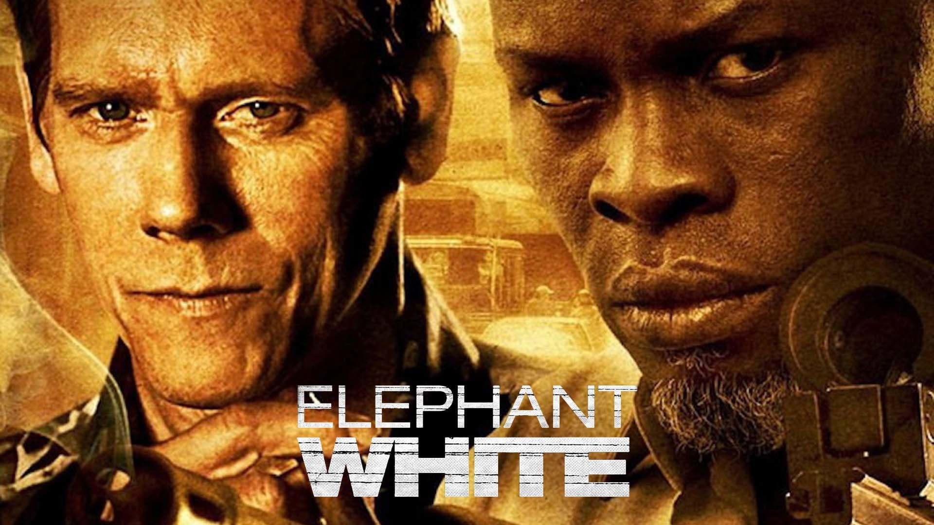 Elephant White - immagine