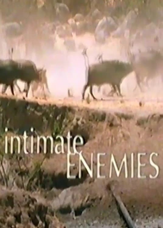 Poster di Intimate Enemies