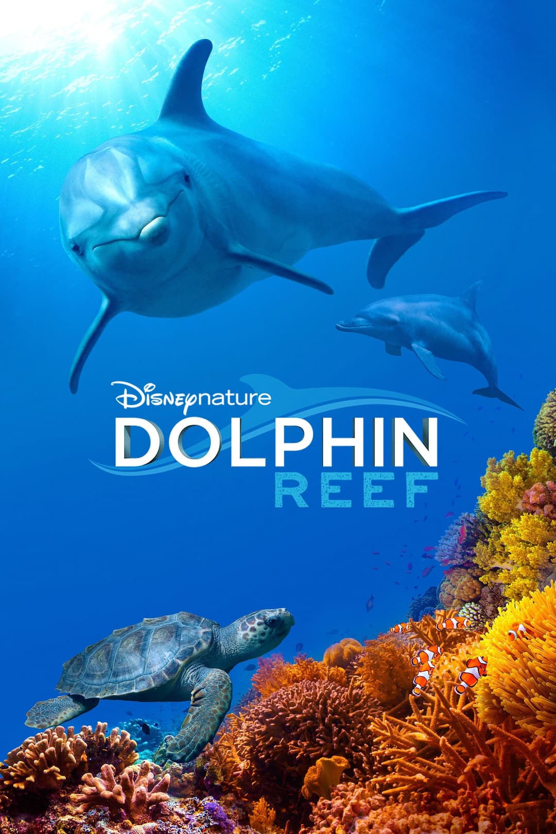 Poster di Echo - Il delfino