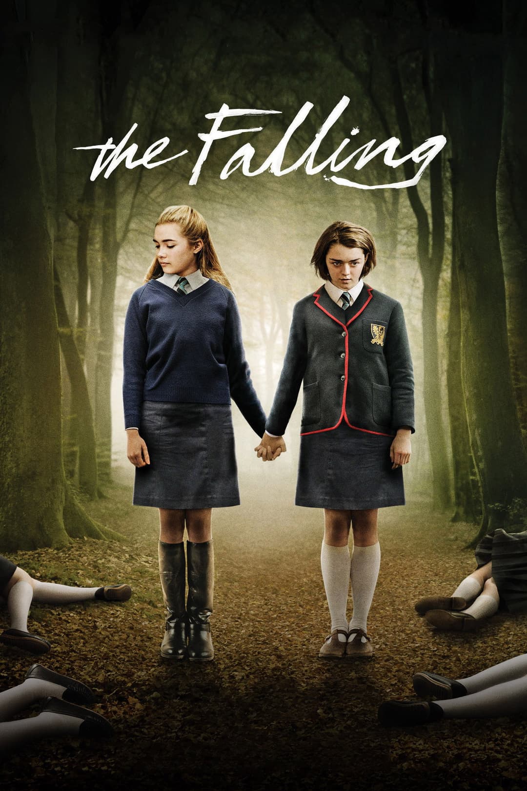 Poster di The Falling