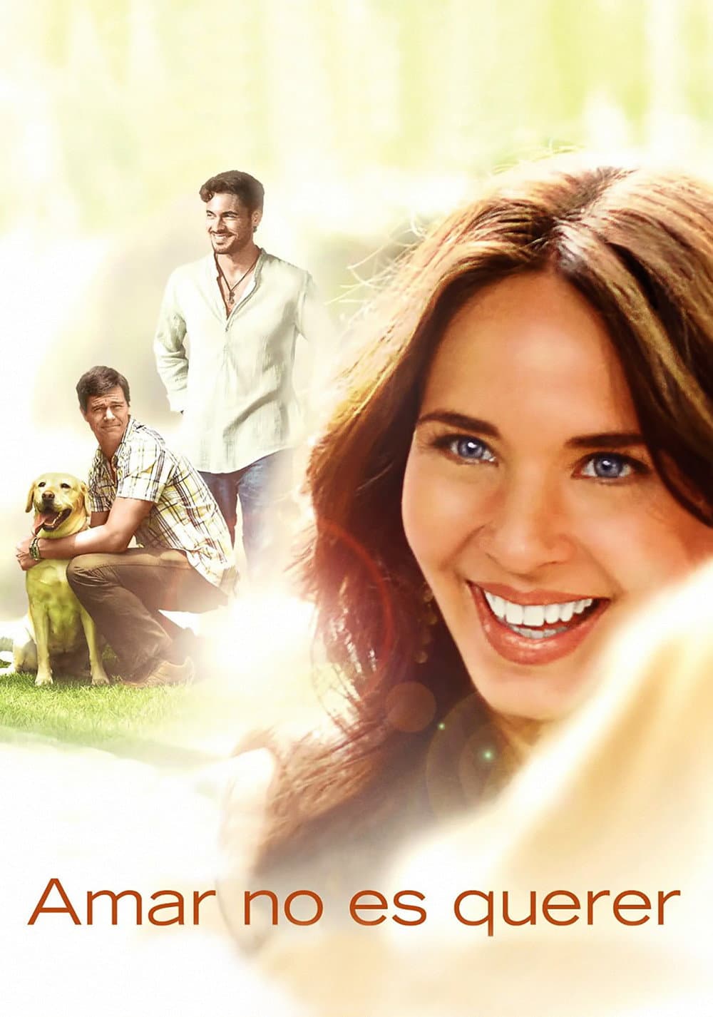 Poster di Amar no es Querer
