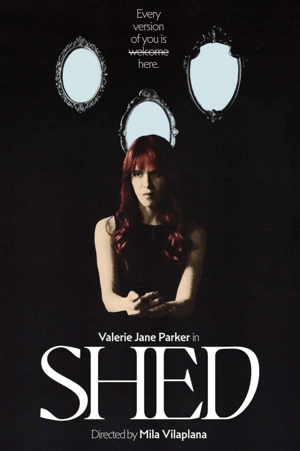 Poster di Shed