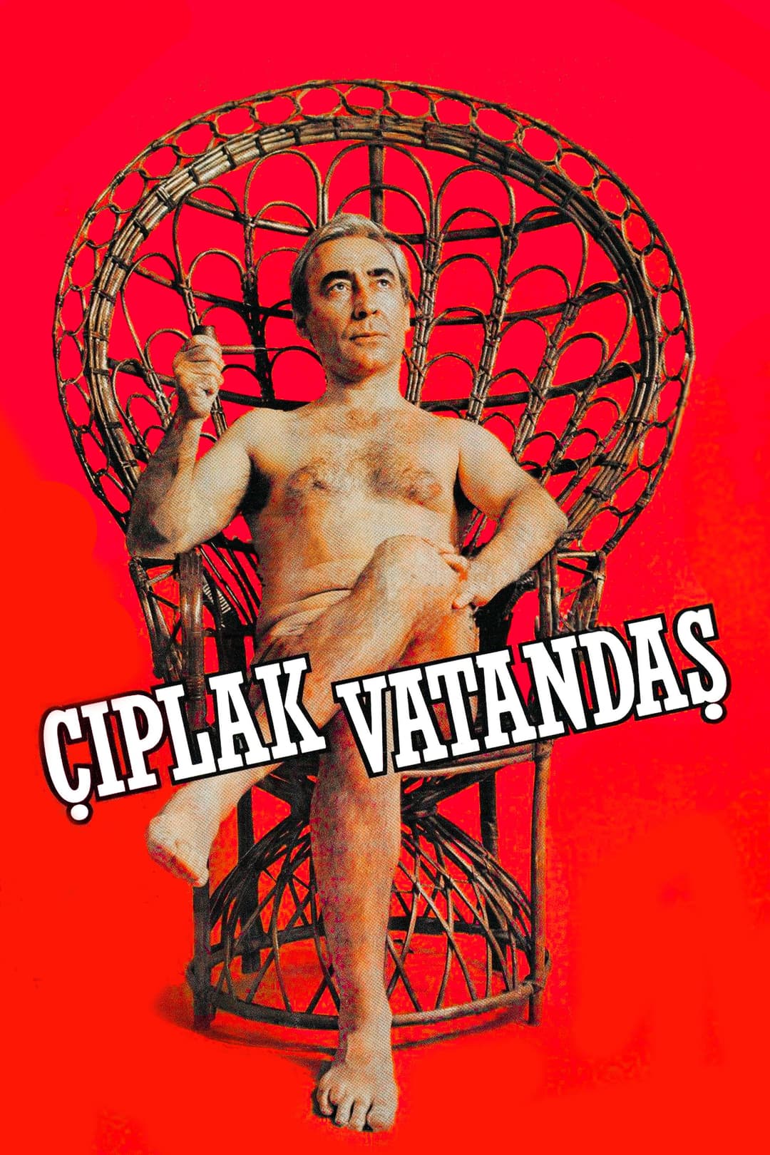 Poster di Çıplak Vatandaş