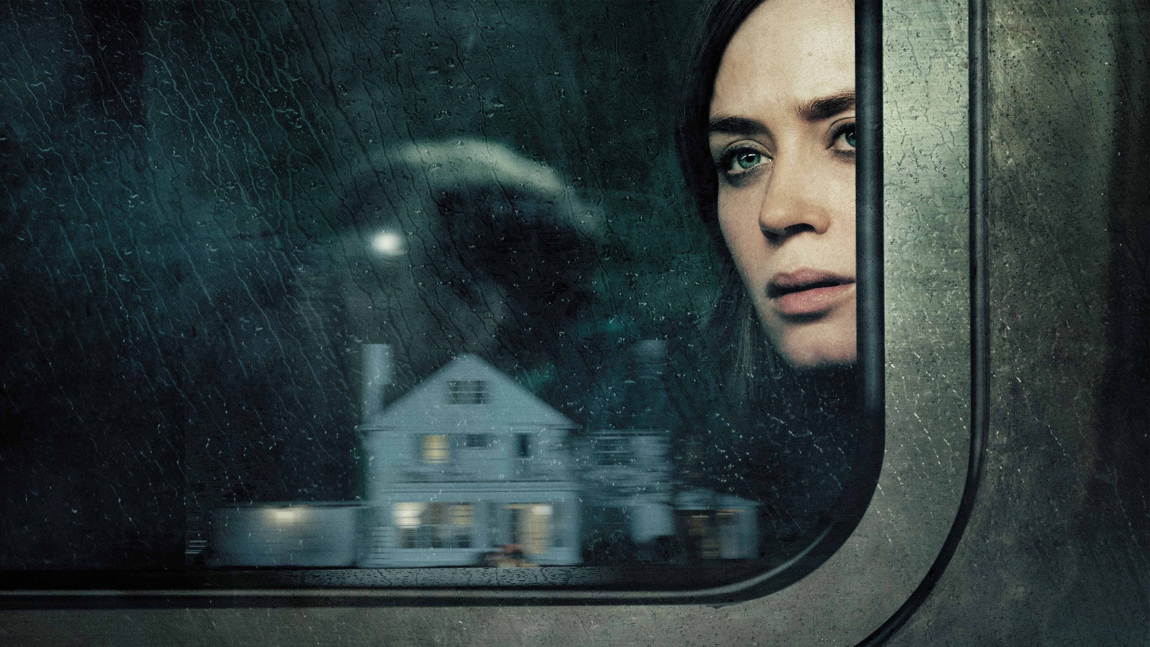 La ragazza del treno - immagine