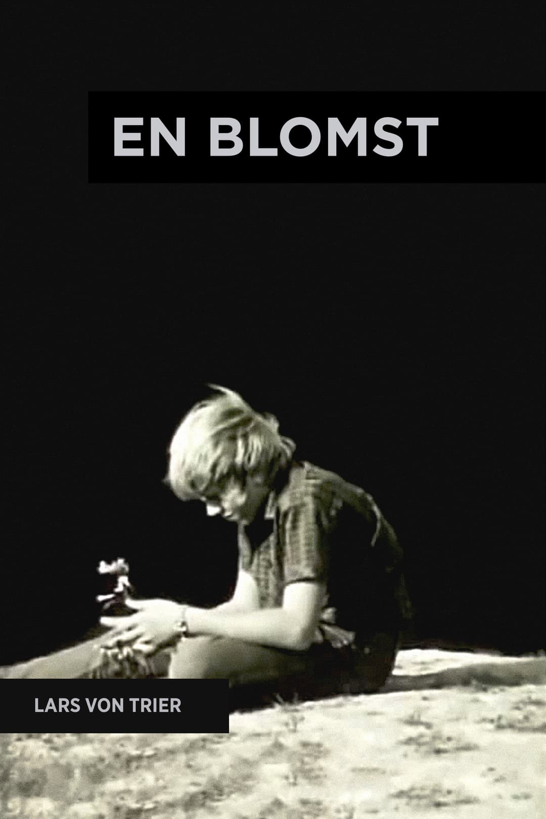 Poster di En blomst
