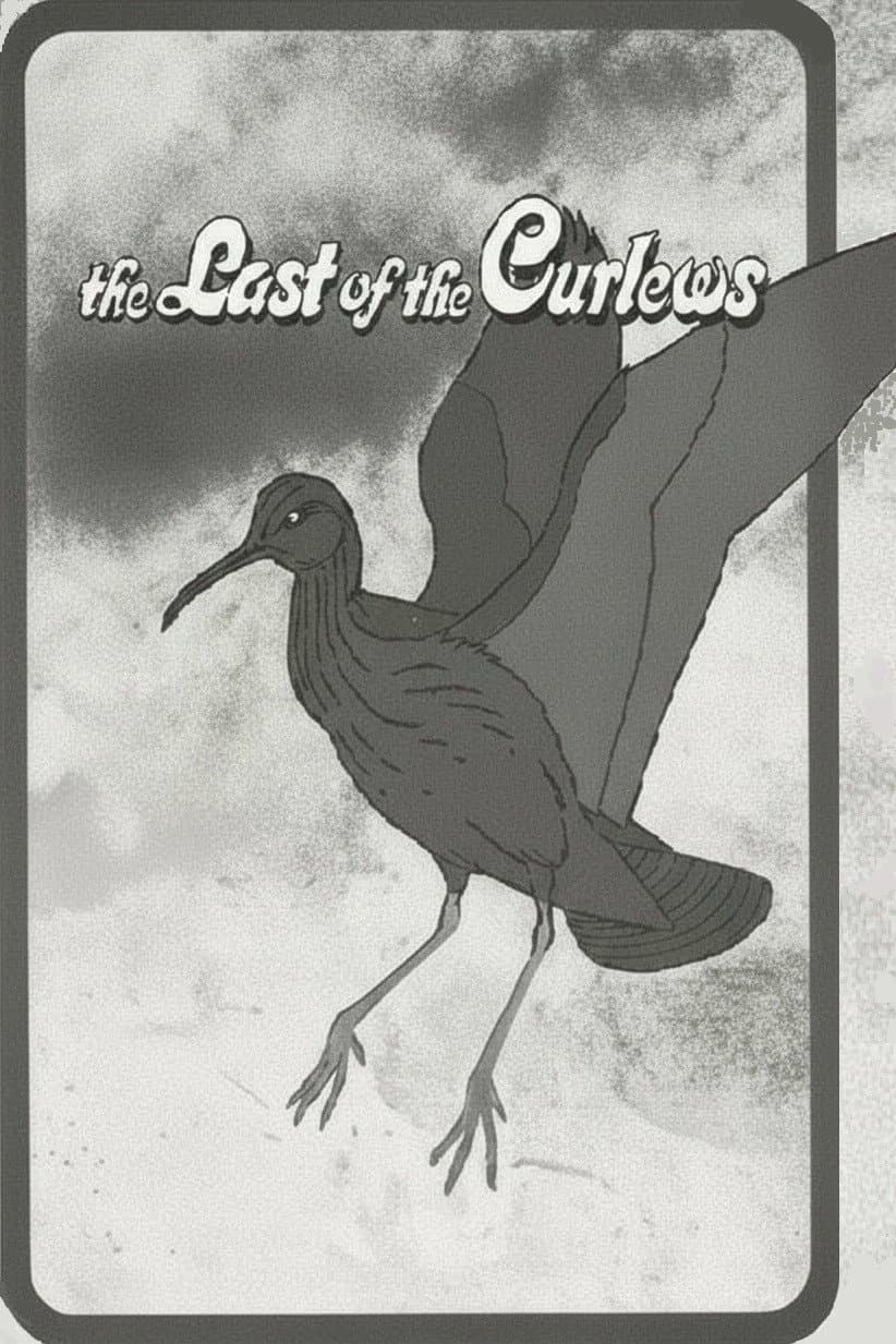 Poster di The Last of the Curlews
