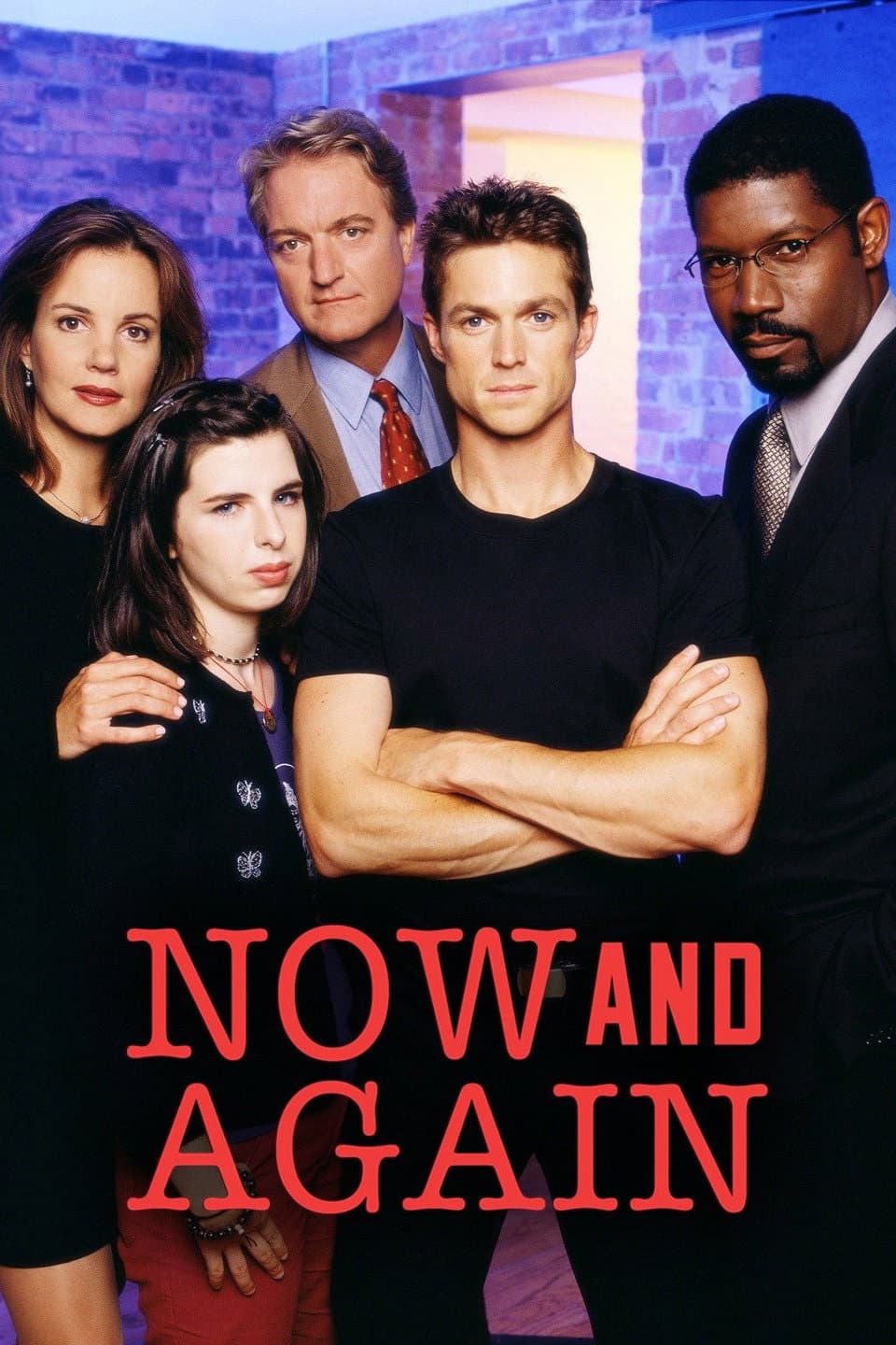 Poster di Now and Again