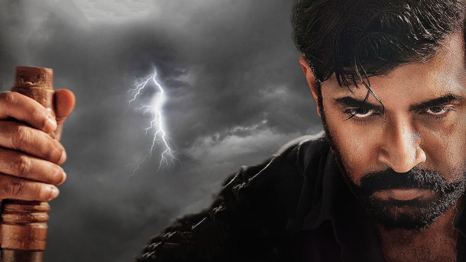 யானை - immagine