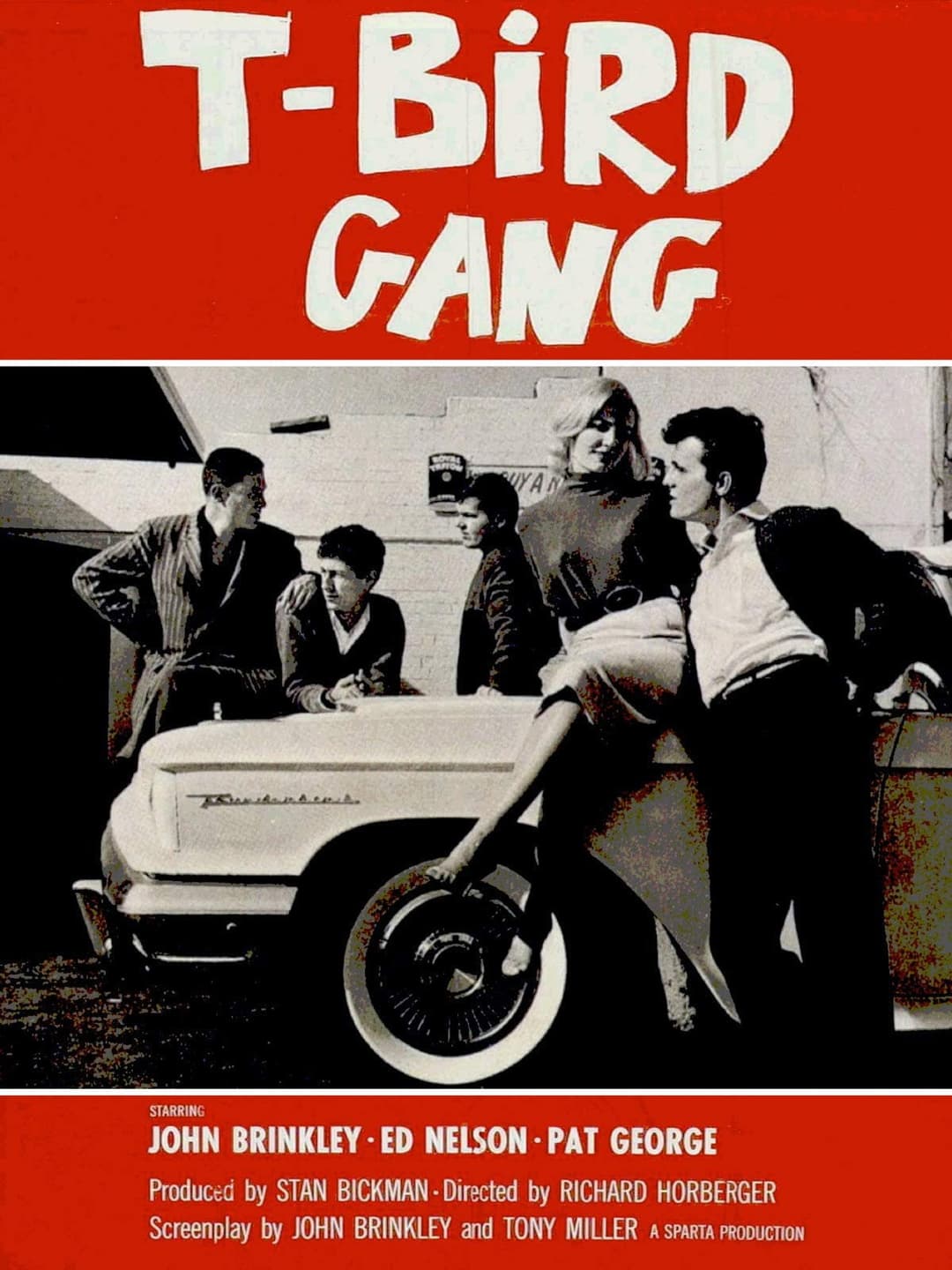 Poster di T-Bird Gang