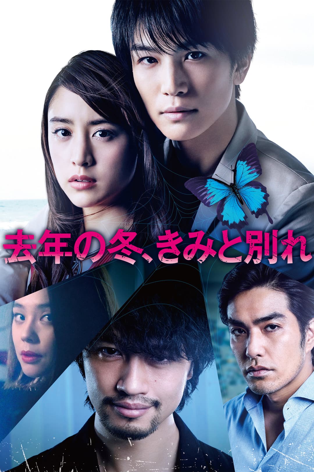 Poster di 去年の冬、きみと別れ