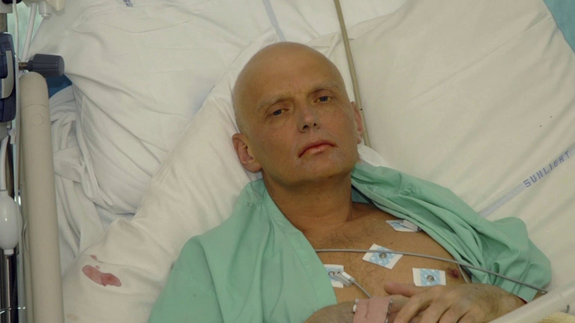 Litvinenko: The Mayfair Poisoning - immagine
