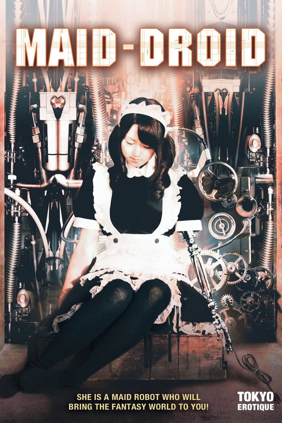 Poster di 老人とラブドール 私が初潮になった時