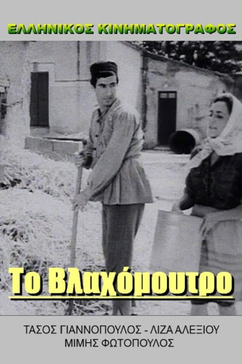 Poster di Πράκτωρ Κίτσος καλεί Γαστούνη
