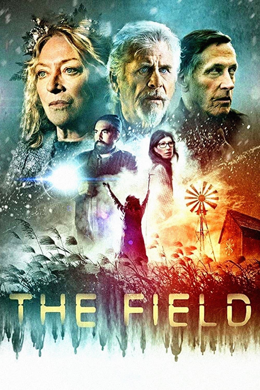 Poster di The Field