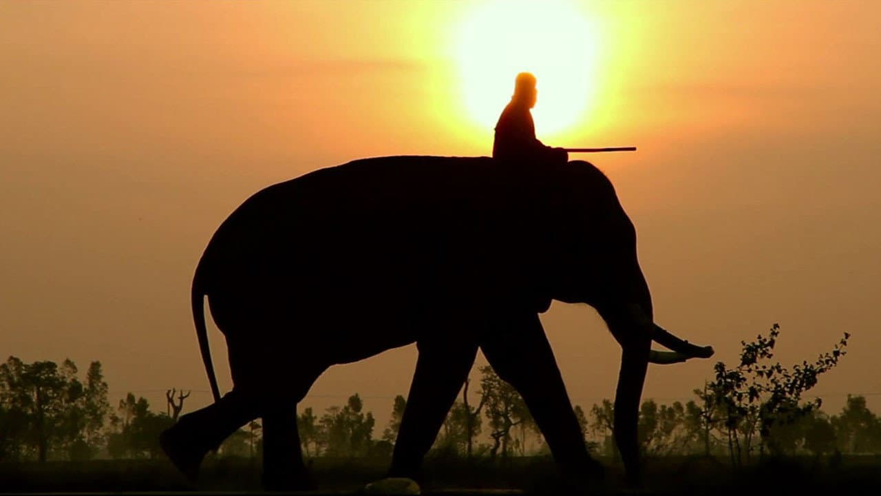 When Elephants Were Young - immagine