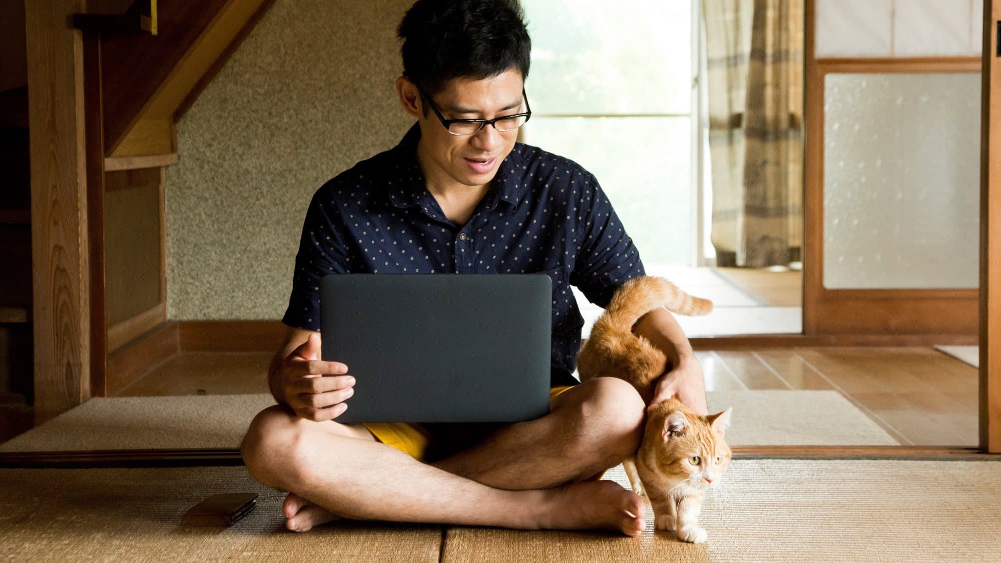 ねこあつめの家 - immagine