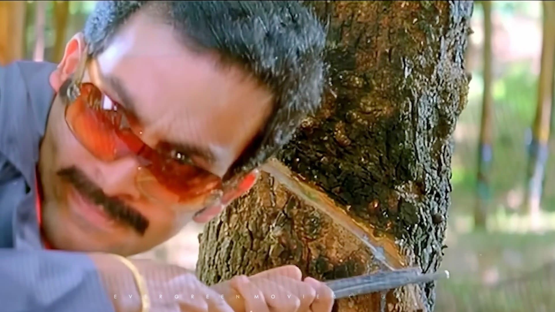 കലണ്ടർ - immagine