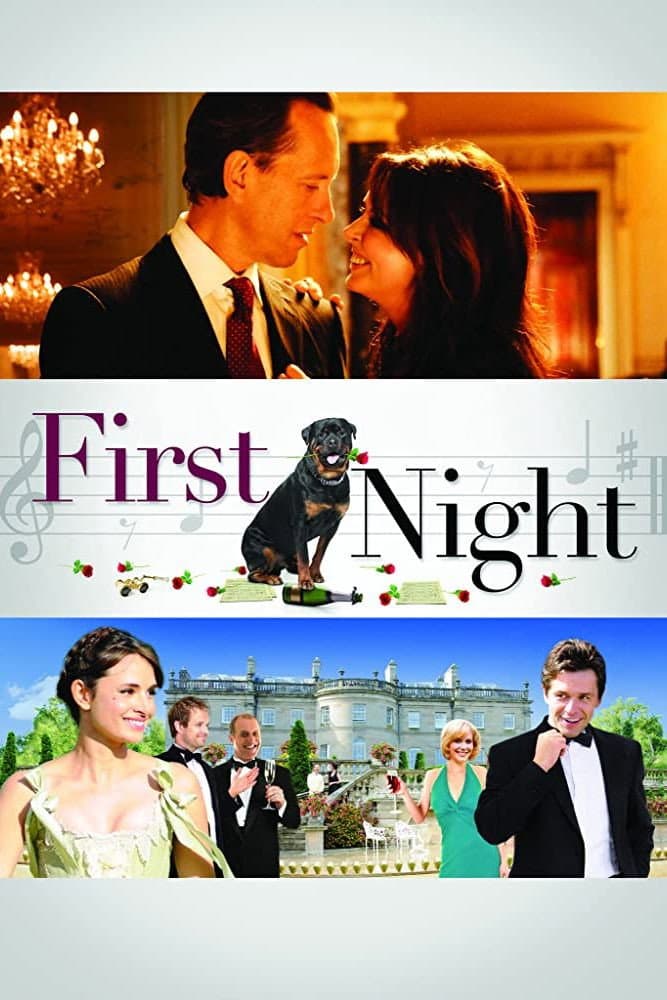 Poster di First Night