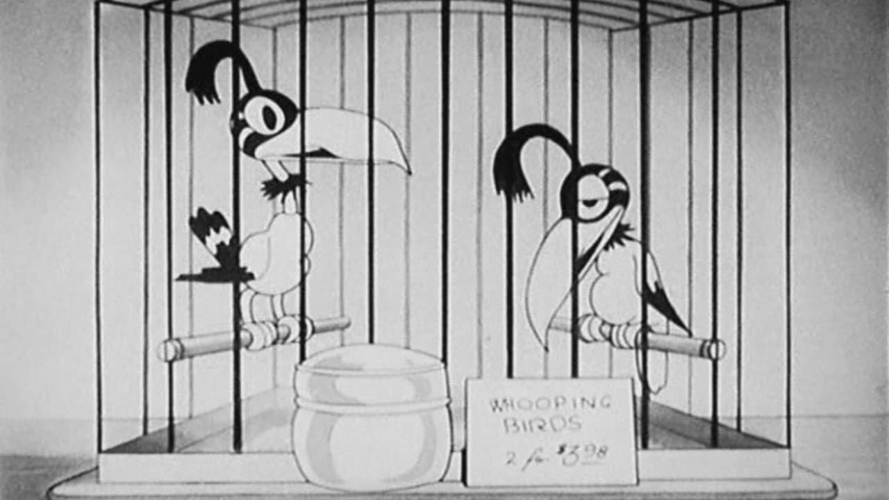 The Bird Store - immagine