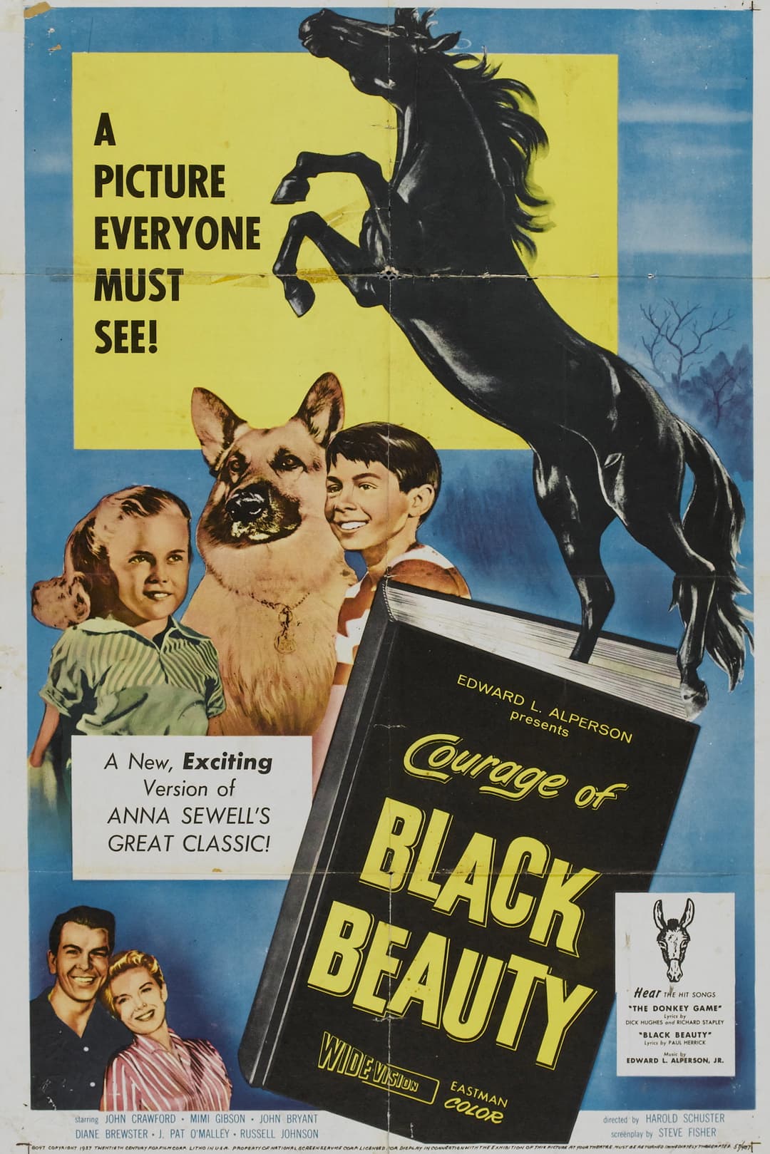 Poster di Courage of Black Beauty