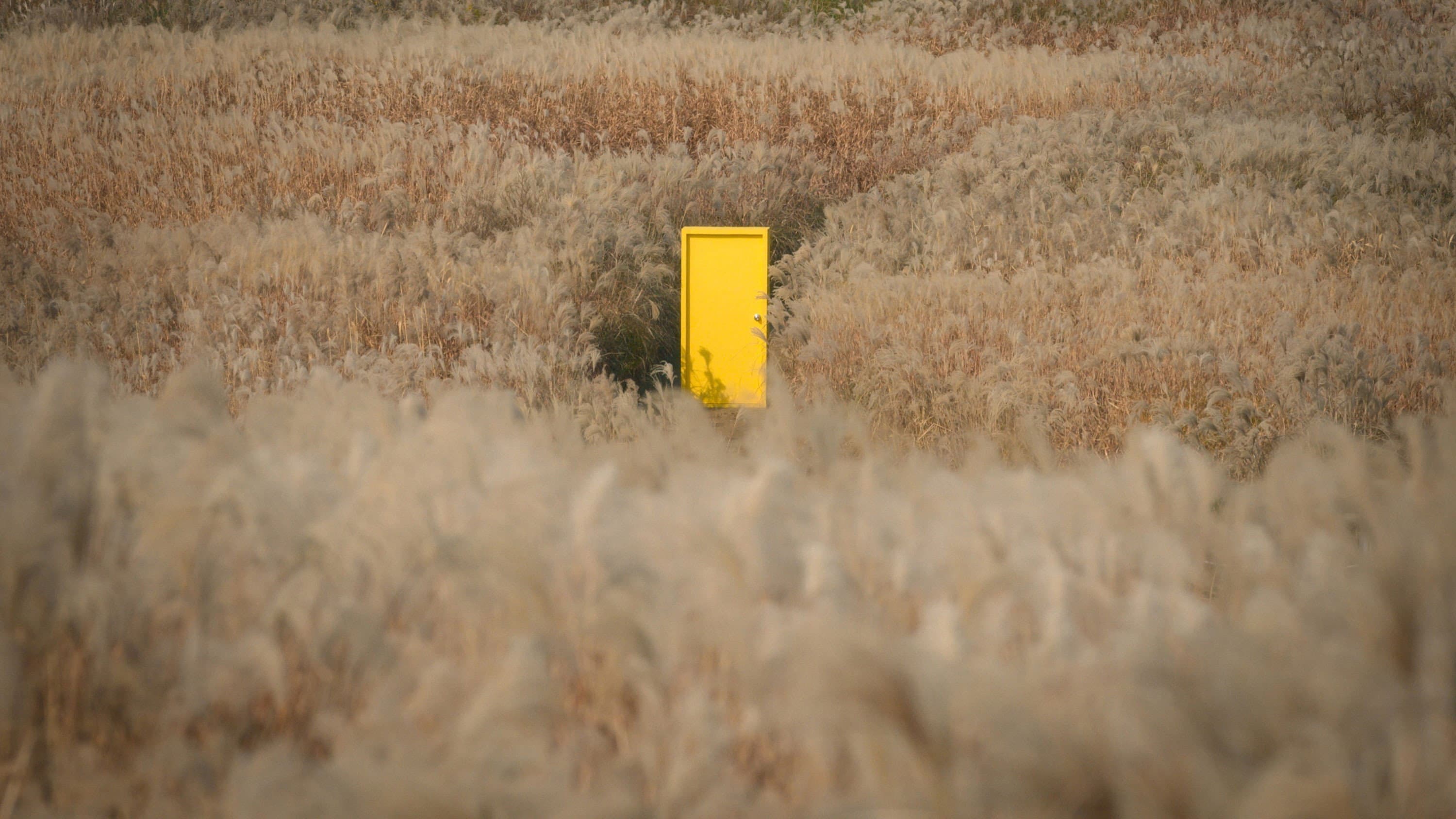Yellow Door - L'ascesa del cinema coreano - immagine