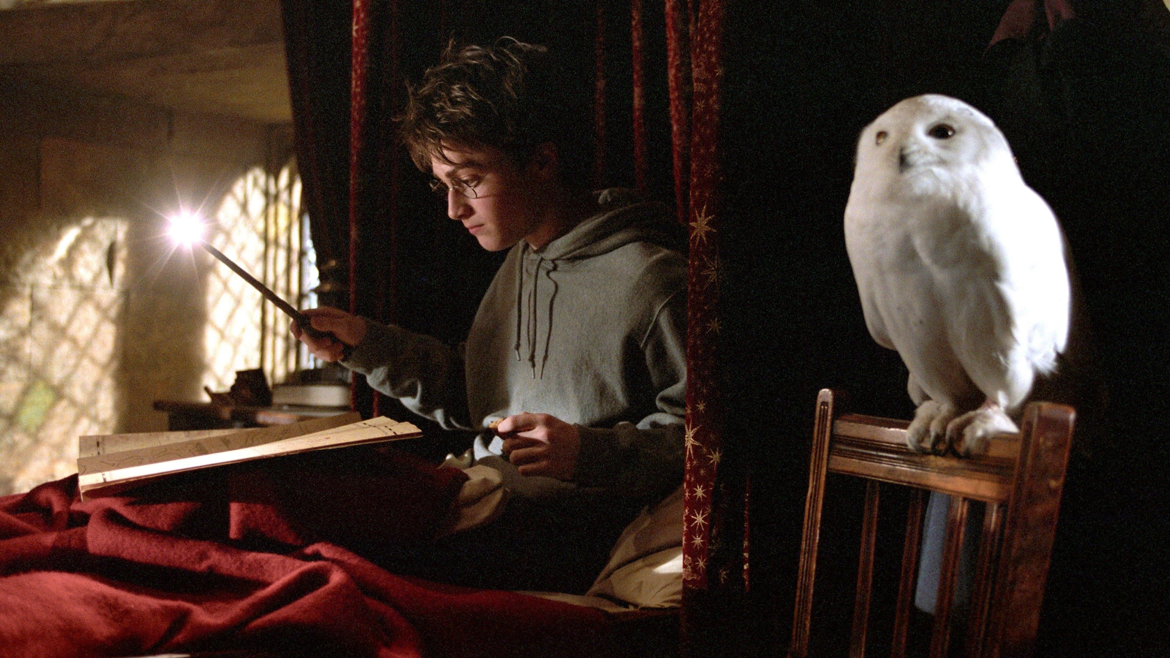 Harry Potter e il prigioniero di Azkaban - immagine
