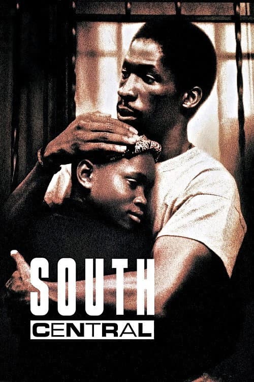 Poster di South Central - Zona a rischio