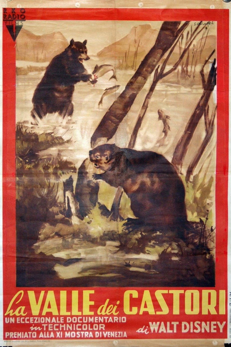 Poster di La valle dei castori
