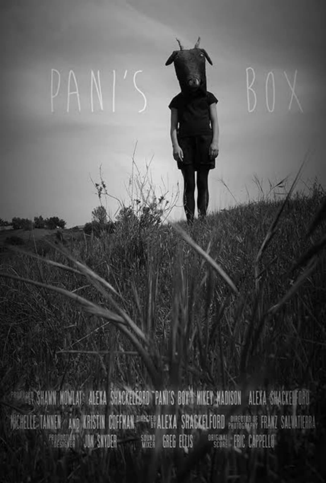 Poster di Pani's Box