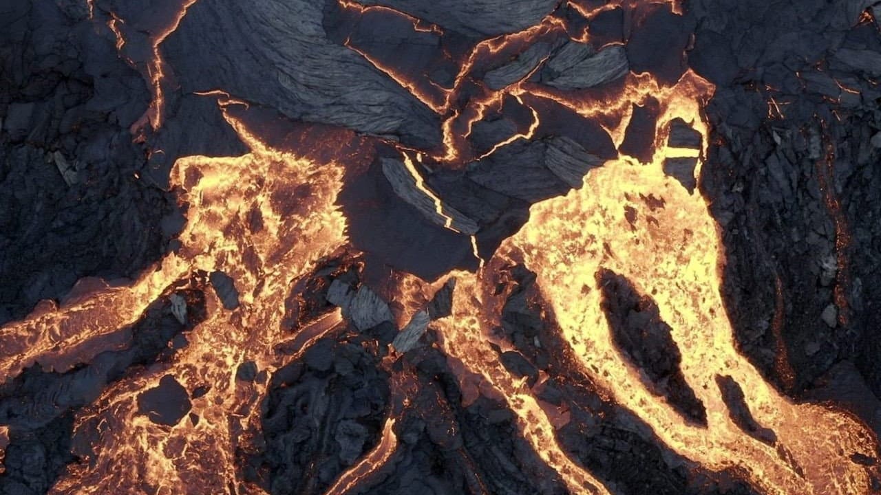 Terre, Les Forces du Vivant - immagine