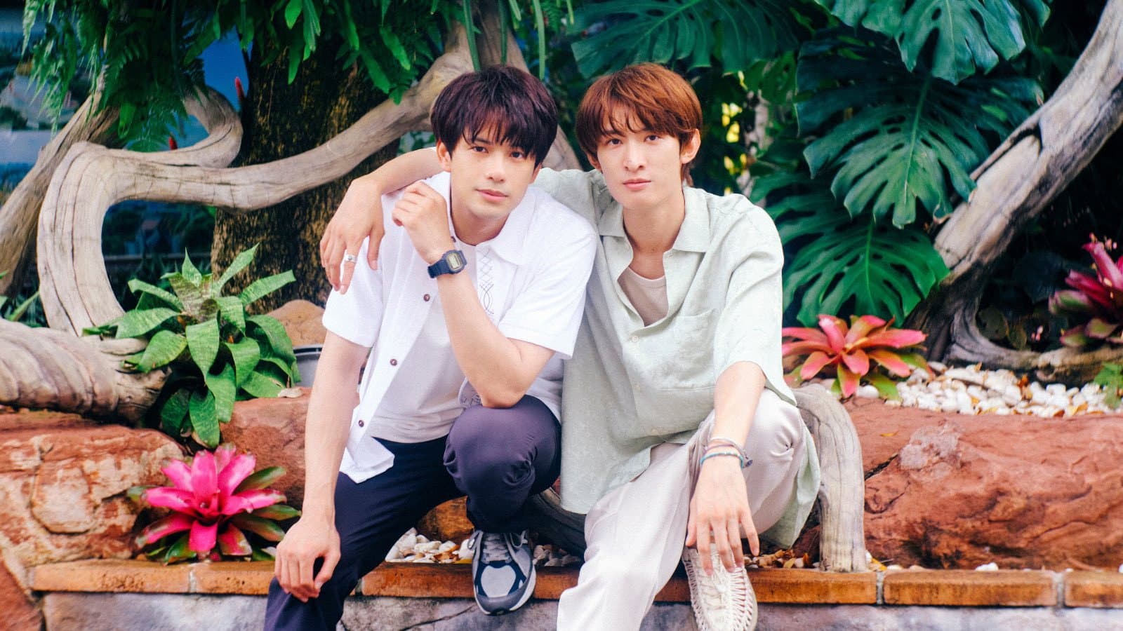 （LOVE SONG） - immagine
