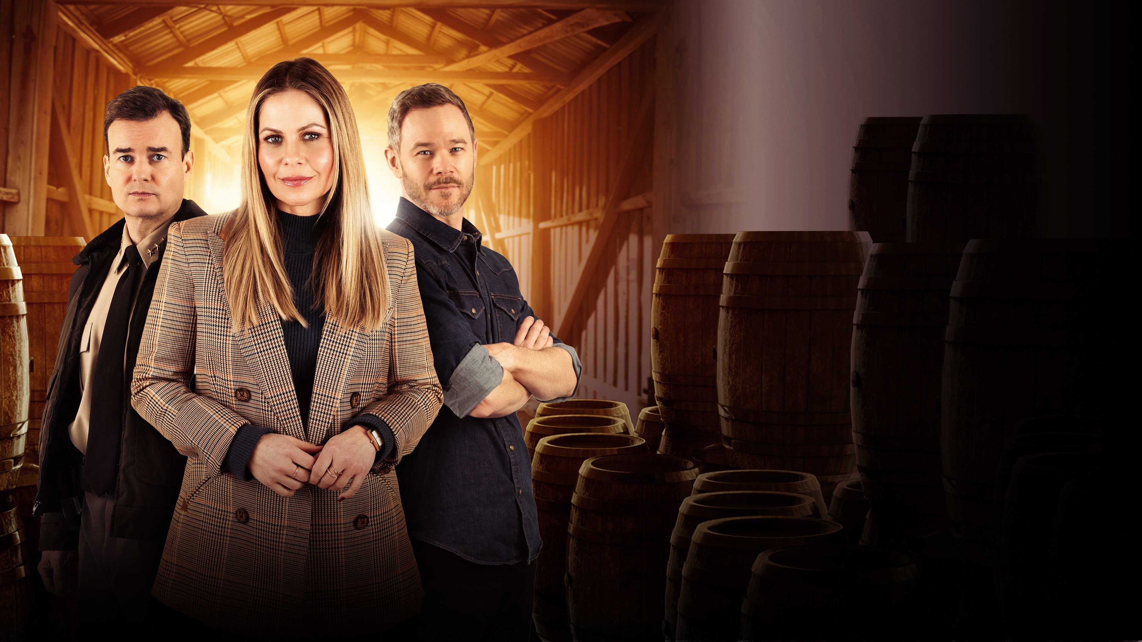 The Ainsley McGregor Mysteries: A Case for the Winemaker - immagine