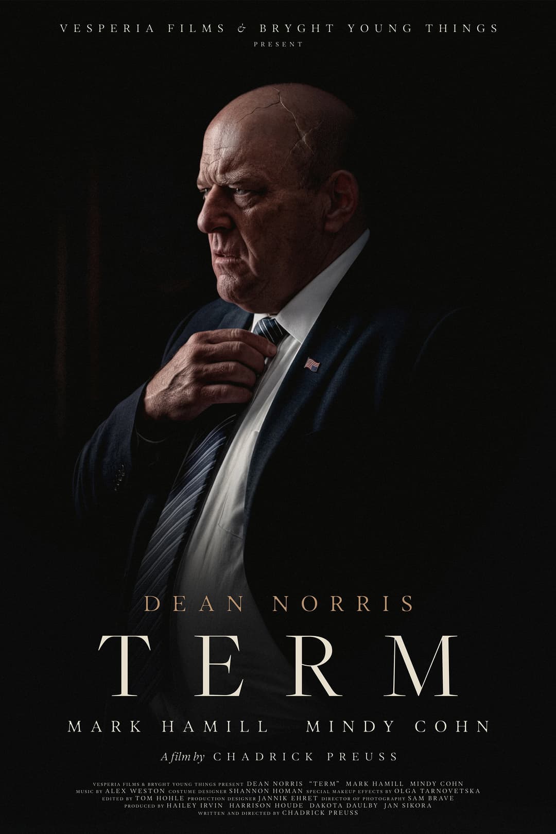 Poster di TERM
