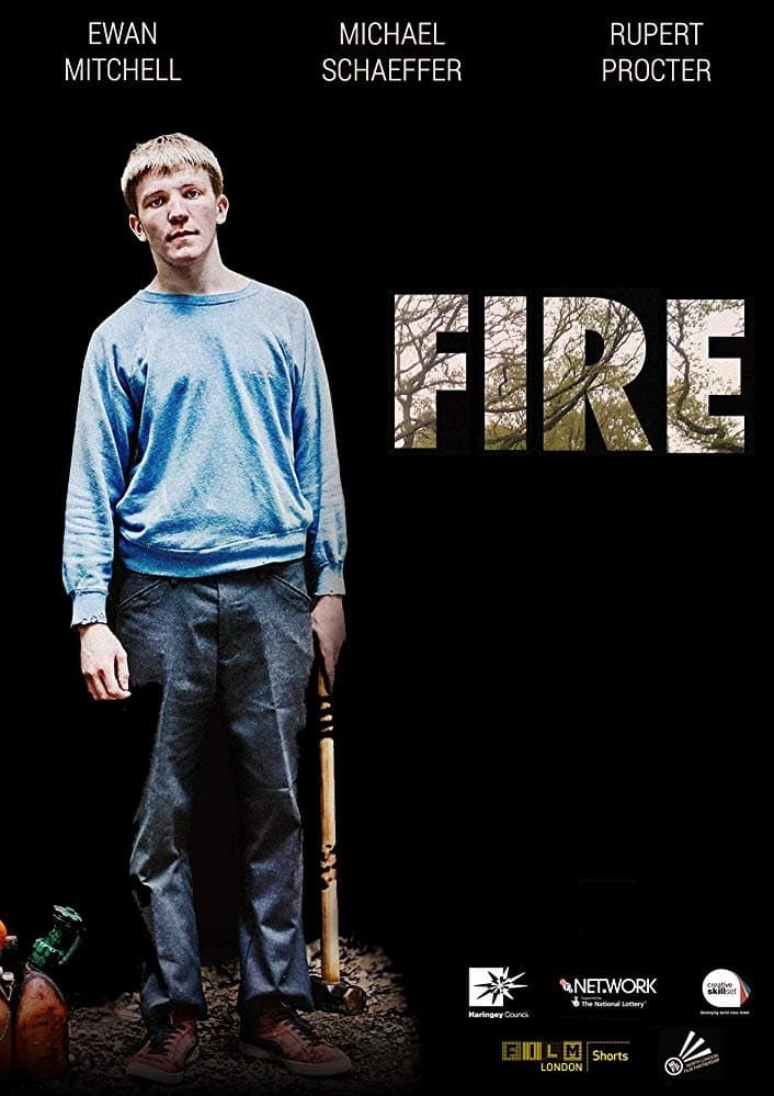 Poster di Fire