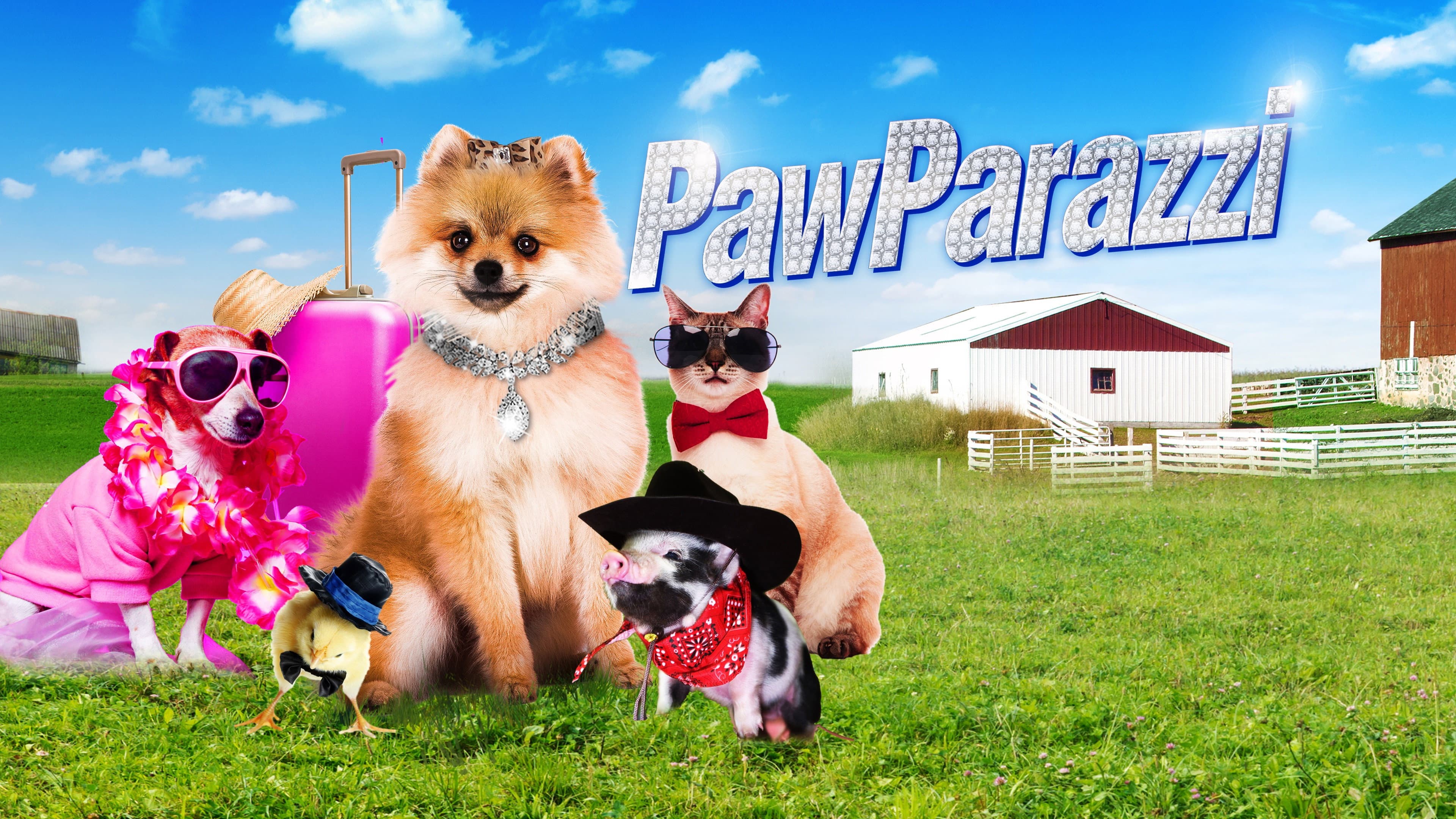 PawParazzi - immagine