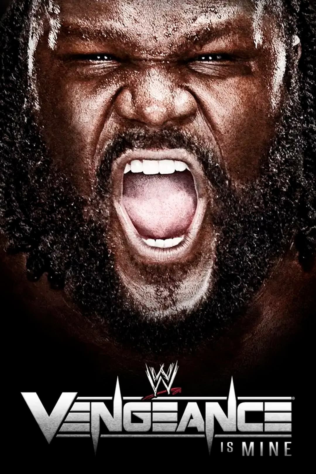 Poster di WWE Vengeance 2011