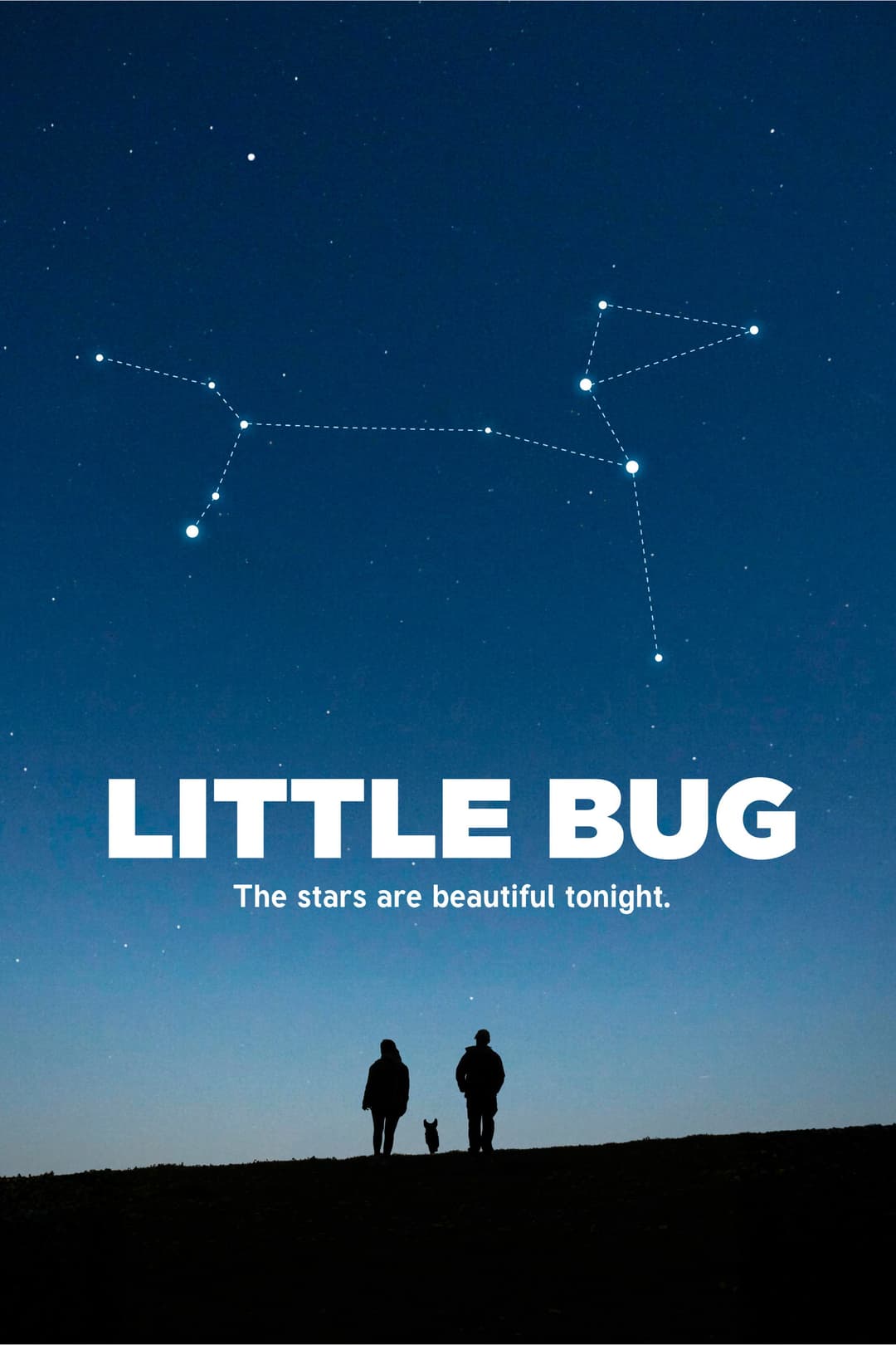 Poster di Little Bug