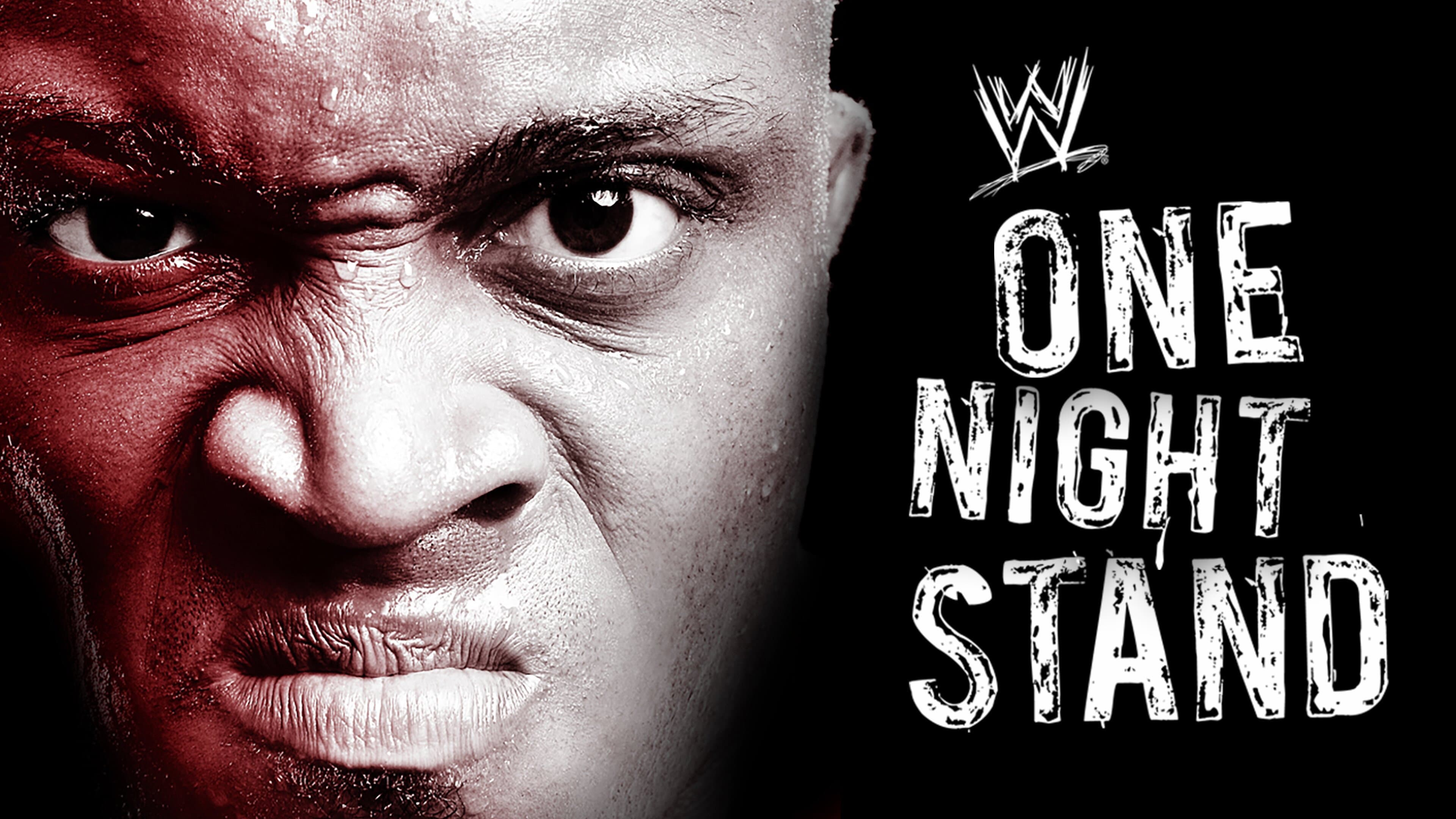 WWE One Night Stand 2007 - immagine