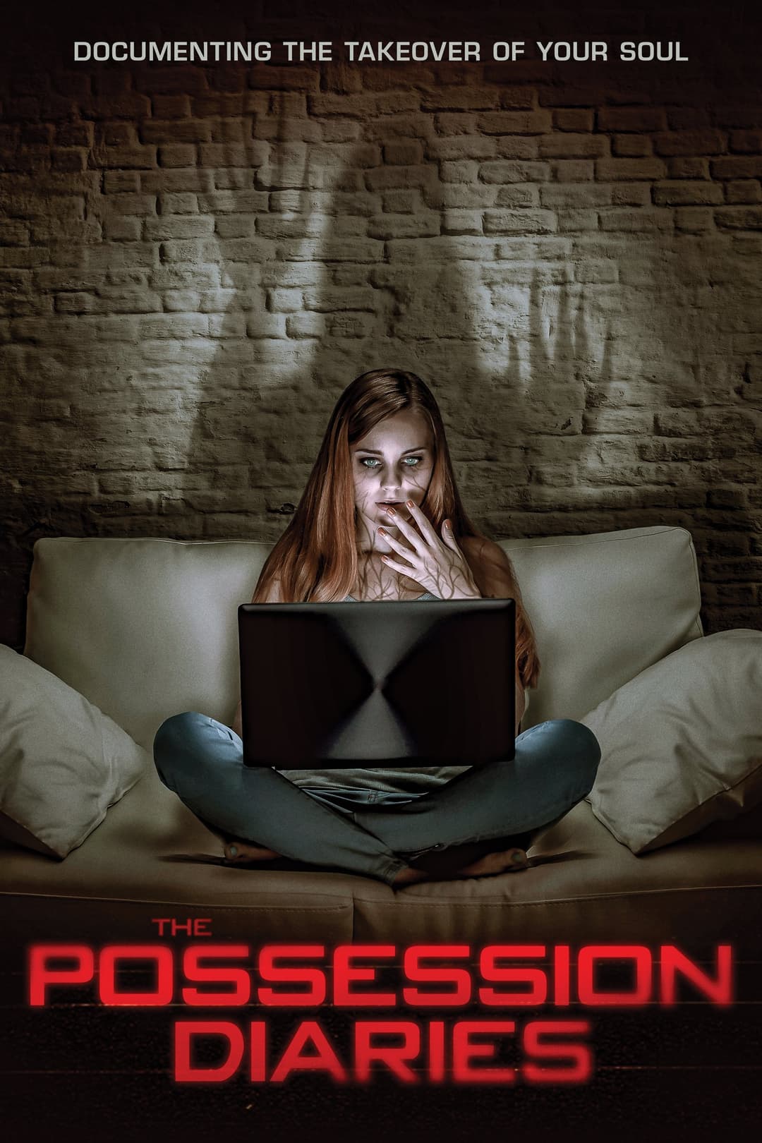 Poster di Possession Diaries