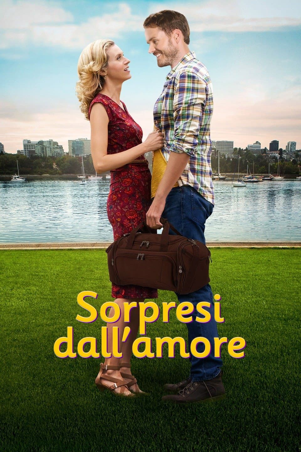 Poster di Sorpresi dall'amore