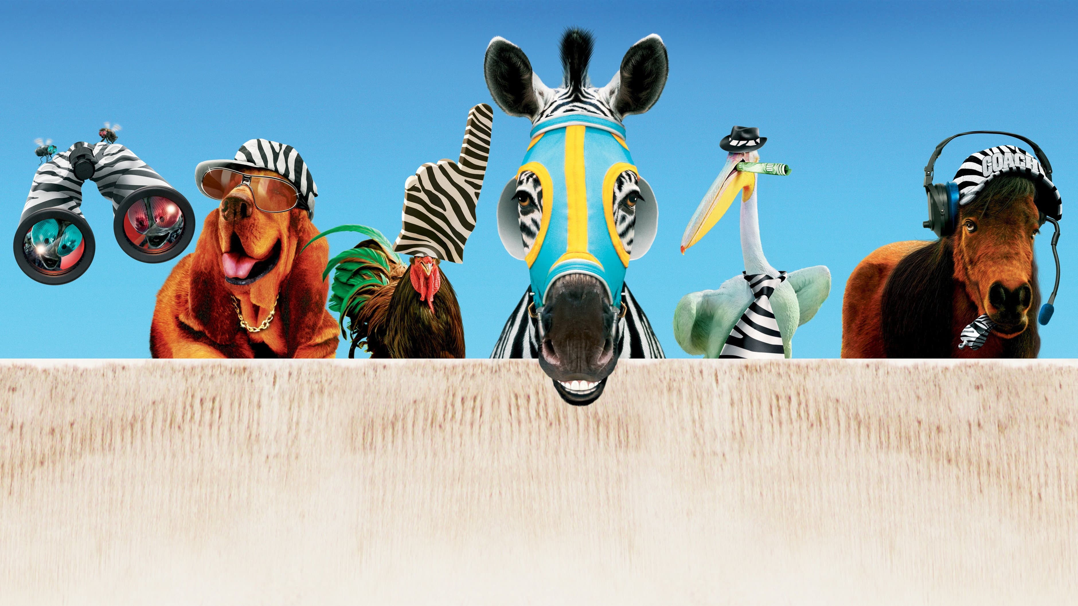 Striscia, una zebra alla riscossa - immagine
