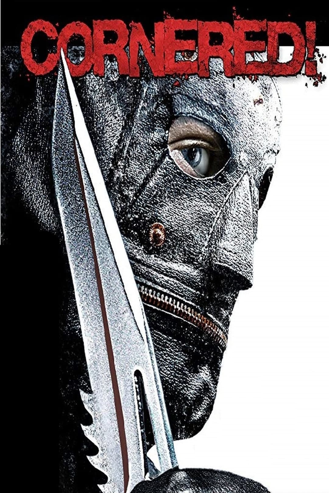 Poster di Cornered!